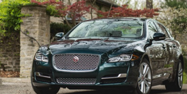 Jaguar